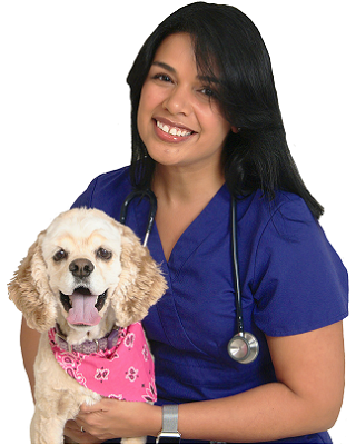 Image of Dr. Diana Delgado of Community Animal Hospitals General Practice, Dental