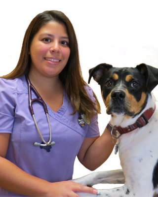 Image of Dr. Kathleen Valle of Community Animal Hospitals